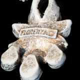 Florenza White Flower Earrings vintage - Rhinestone Rosie