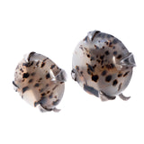 Agate Earrings Sterling vintage - Rhinestone Rosie