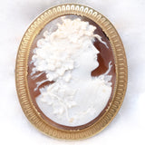 Cameo Shell Bacchante maiden or Dionysus Bacchus Brooch antique - Rhinestone Rosie