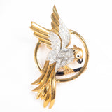 stamped brass Parrot Brooch with enamel accents and rhinestones vintage 1930s - Rhinestone Rosie